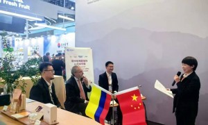 一天24万人逛进博会，外企卖力带货丨一线