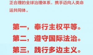 国际锐评丨全球治理倡议因何赢得世界广泛支持?