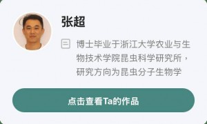 广州100%的蚊子都出现抗药性?对付蚊子,我们还有招吗?