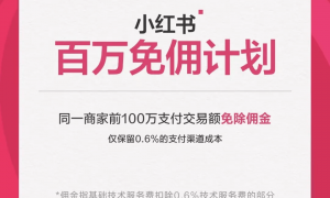 12年来首次被单独“约谈”,小红书难以抉择的十字“露”口