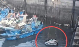 汽车凌晨坠海,车主不幸去世!福建平潭、小米汽车等多方回应